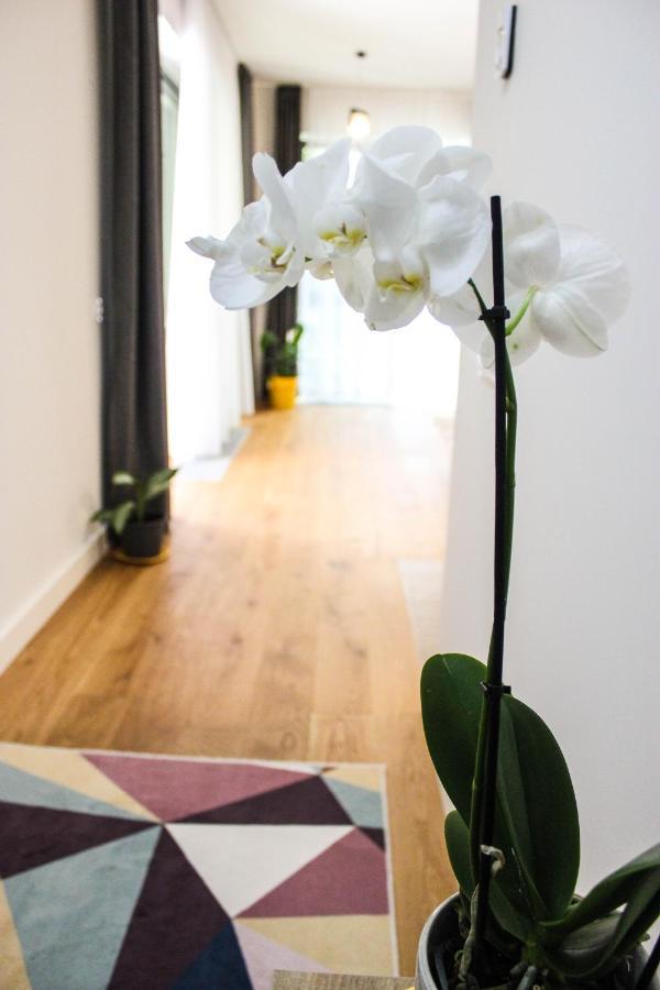 8Ight Apartment Brasov Bagian luar foto
